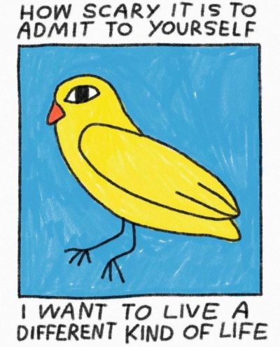 bird.png